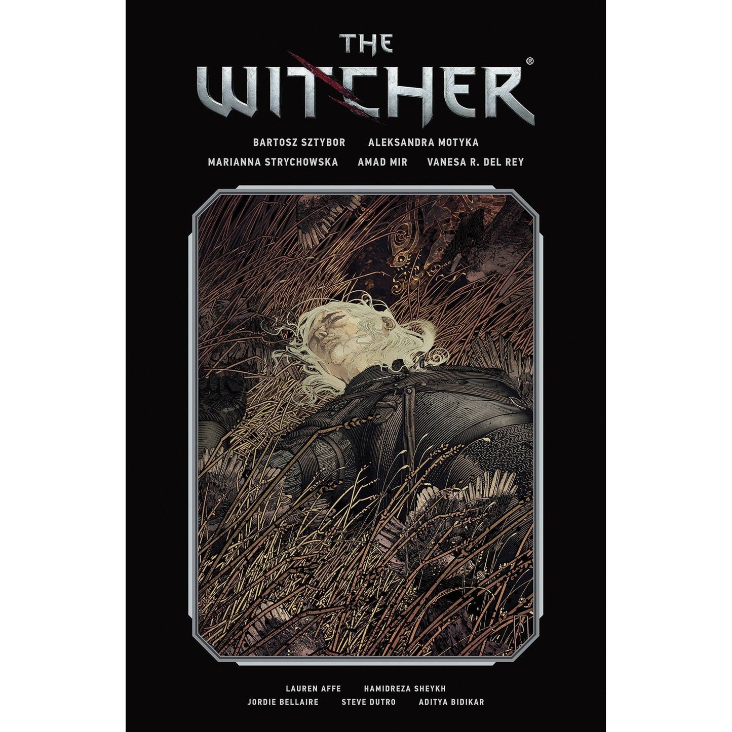 WITCHER LIBRARY EDITION HC VOL 02