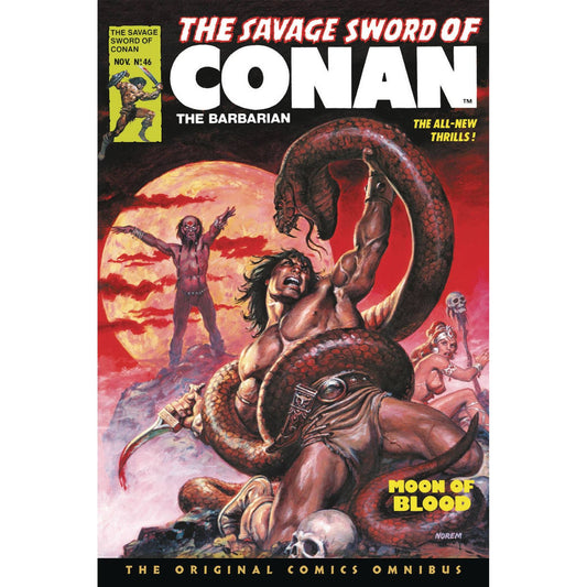 SAVAGE SWORD OF CONAN ORIG OMNIBUS REG GN VOL 04