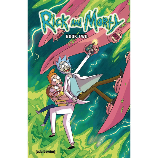 RICK AND MORTY HC BOOK 02 DLX ED