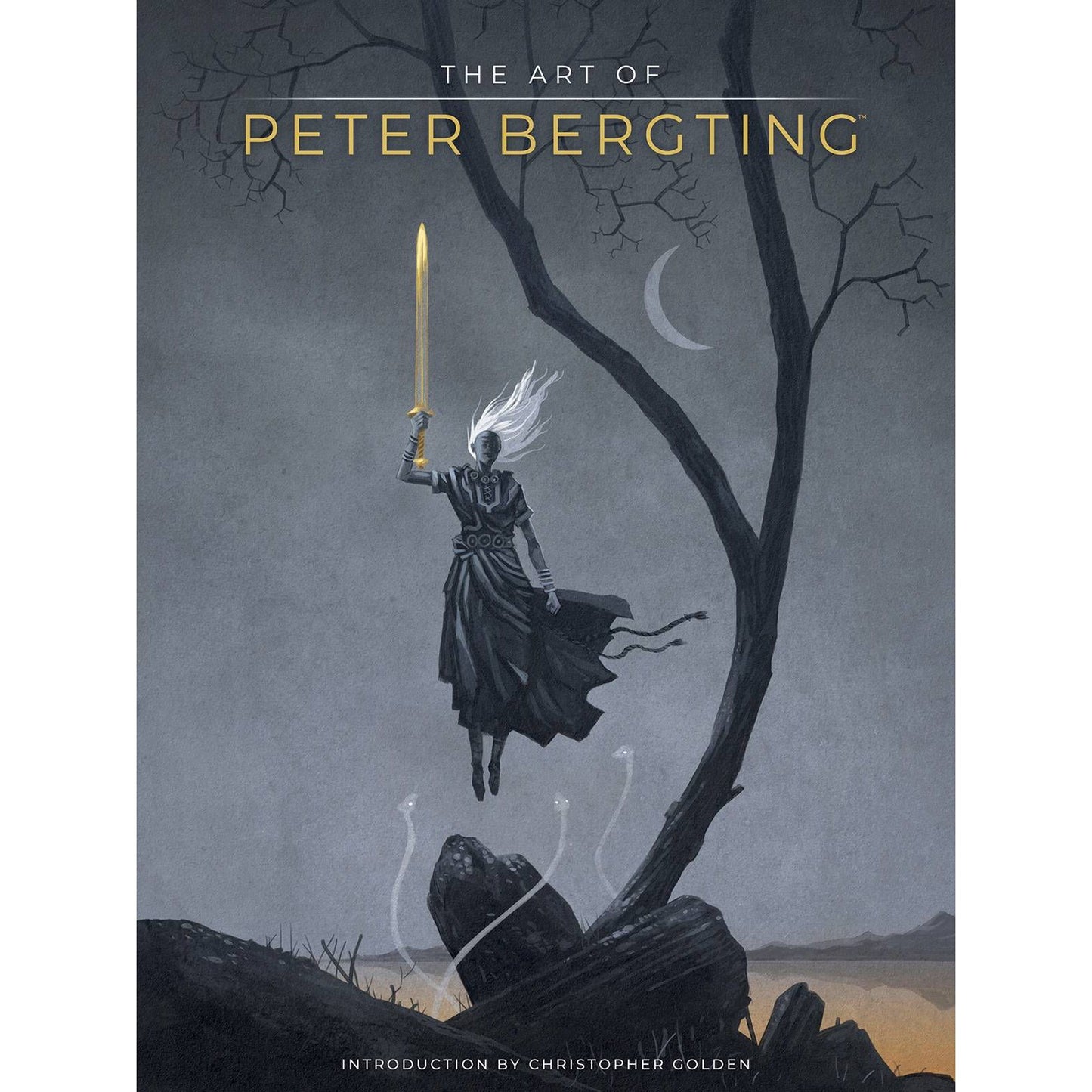 ART OF PETER BERGTING HC