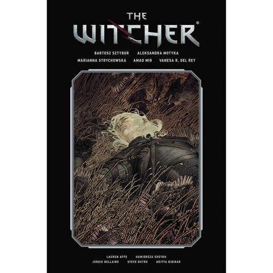 WITCHER LIBRARY EDITION HC VOL 02
